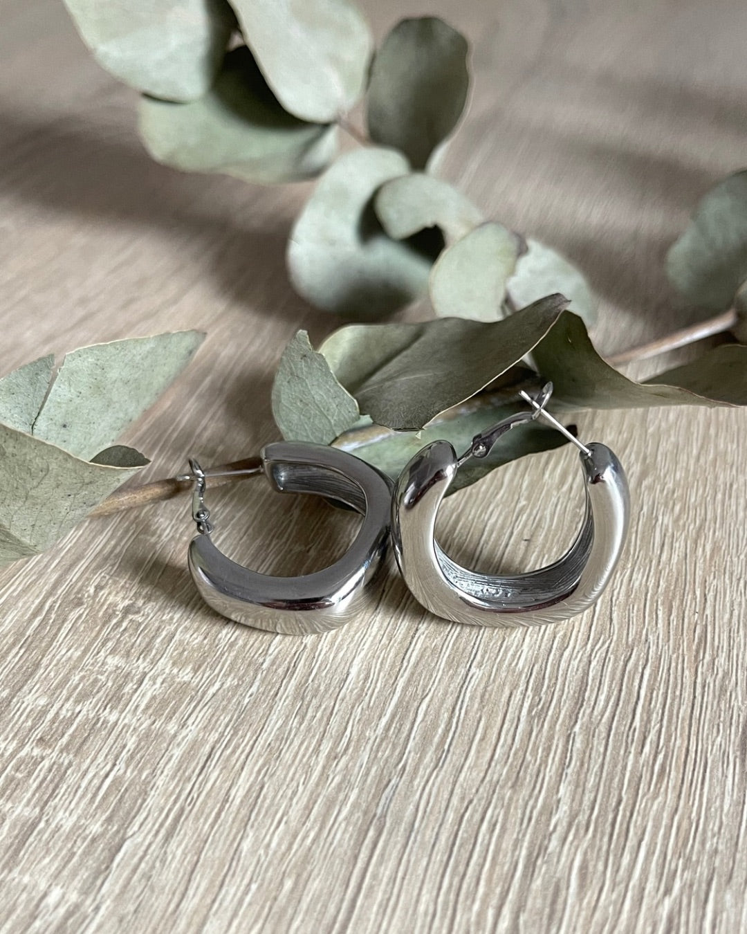 Pendientes Rafaella Plata