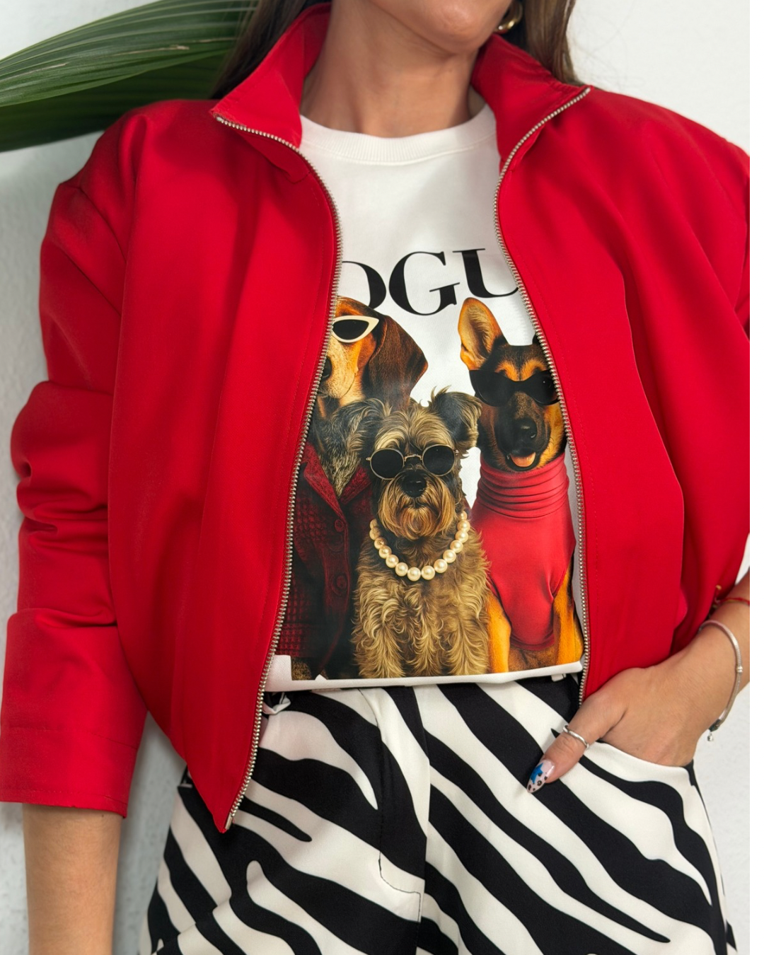 Sudadera Dogue